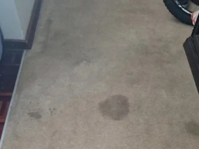 Fitted carpet showing visible stains before treatment