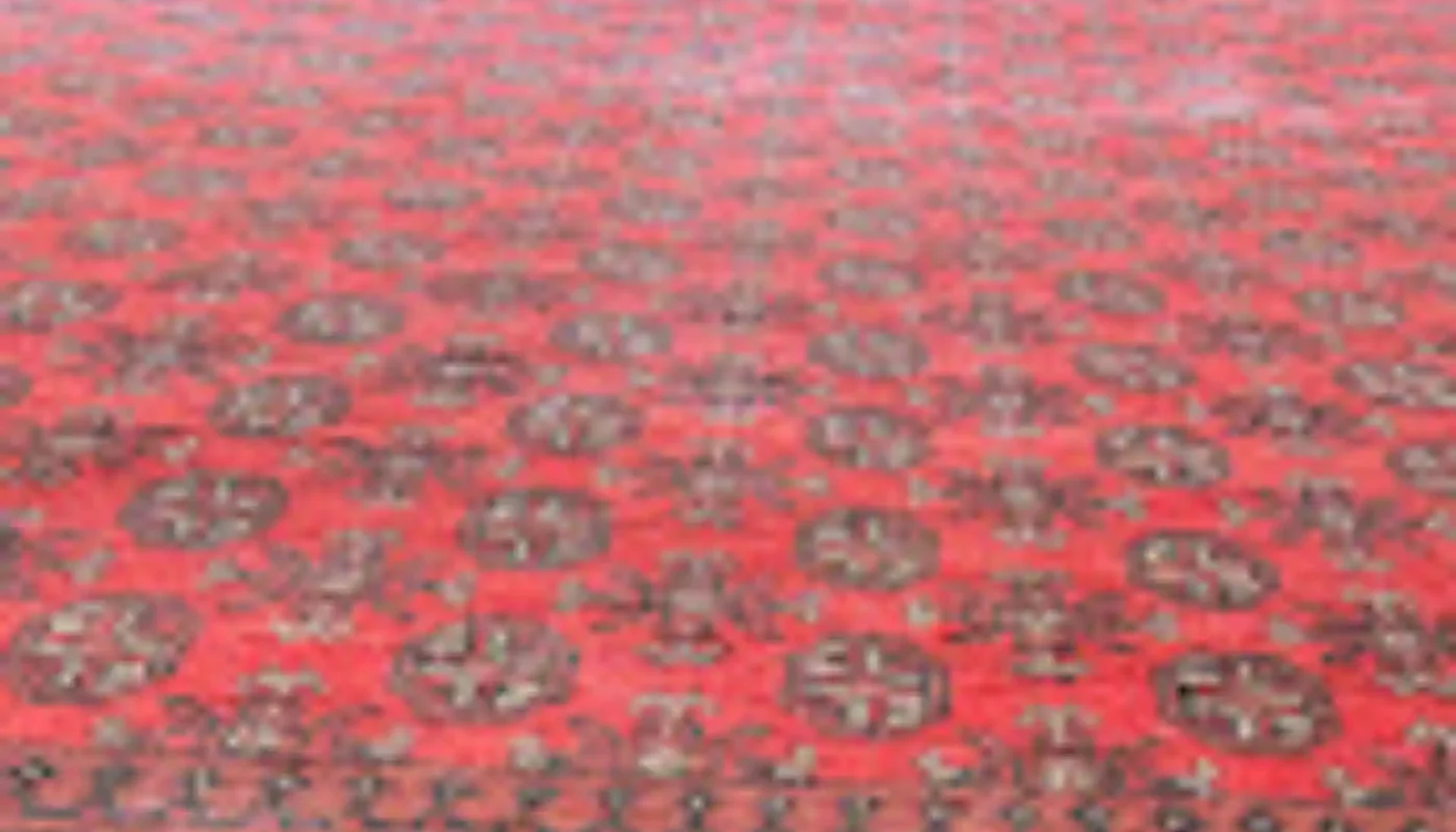 Persian rug professionally cleaned in Cape Town