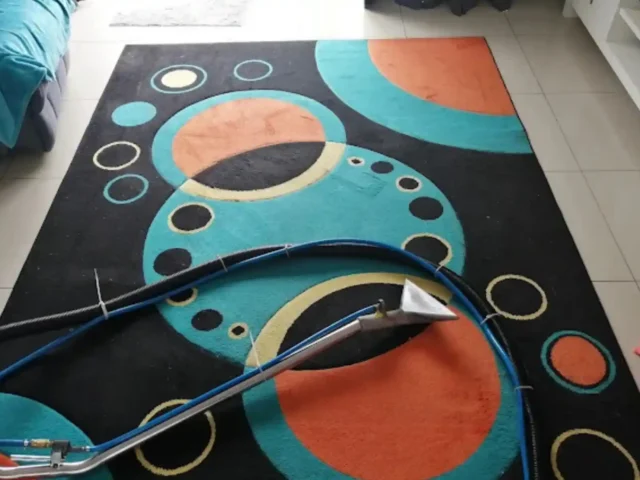 Rug professionally cleaned and dried (10)