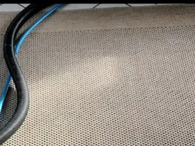 Rug professionally cleaned and dried (16)