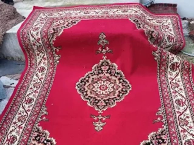 Wool rug professionally cleaned in Cape Town (18)