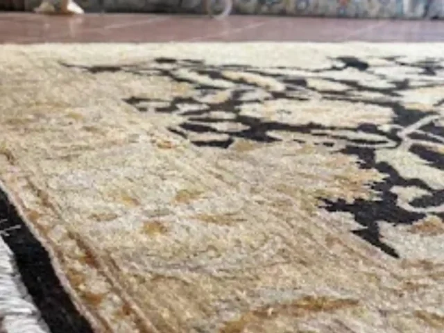 Rug professionally cleaned and dried (22)
