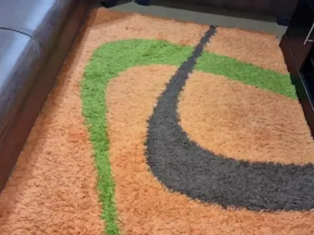 Rug cleaning in progress, Cape Town (23)
