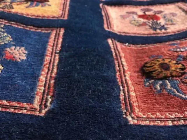 Rug professionally cleaned and dried (28)