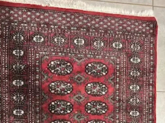Rug cleaning in progress, Cape Town (29)