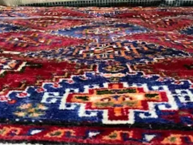 Rug cleaning in progress, Cape Town (35)
