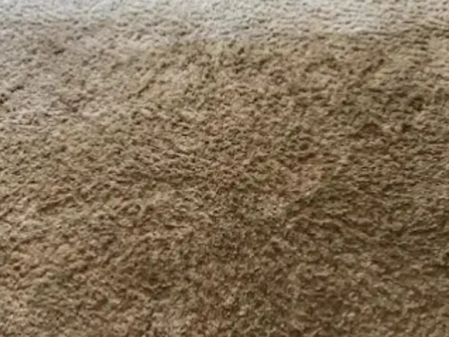Rug professionally cleaned and dried (40)