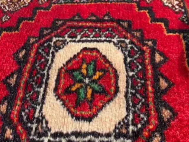 Rug cleaning result in a Cape Town property (44)