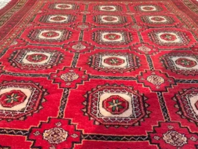 Rug deep cleaned by a Cape Town rug cleaner (45)