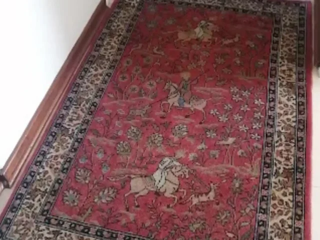 Rug professionally cleaned and dried (46)