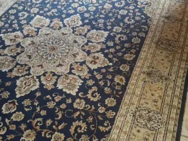 Rug professionally cleaned and dried (52)
