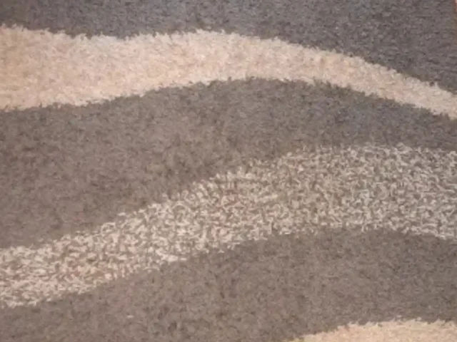 Wool rug professionally cleaned in Cape Town (54)