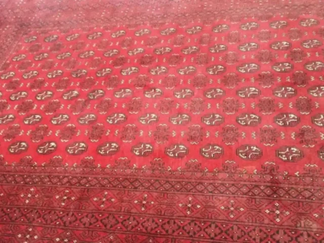 Area rug professionally cleaned in a Cape Town home (55)