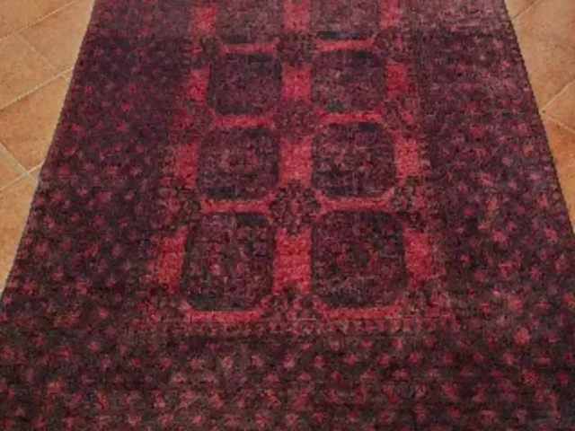Rug cleaning result in a Cape Town property (56)