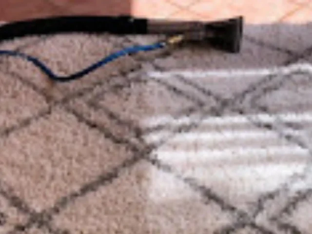 Rug cleaning result in a Cape Town property (62)