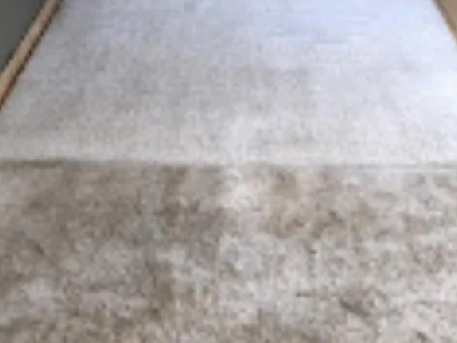 Rug before and during professional cleaning