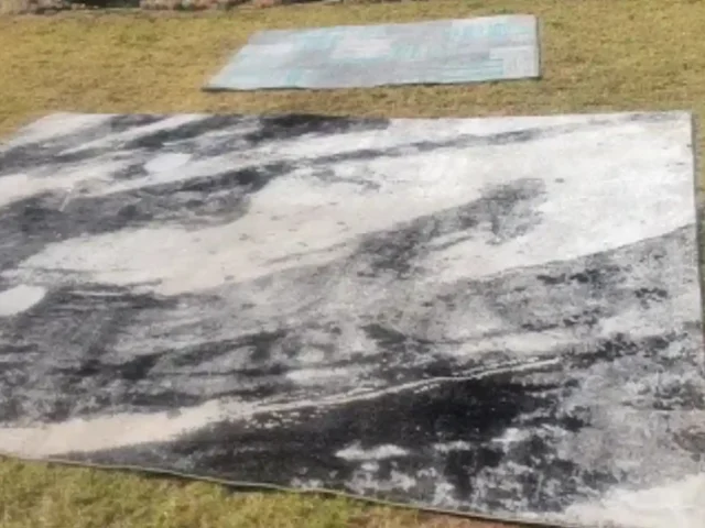 Rugs professionally cleaned in Cape Town (2)