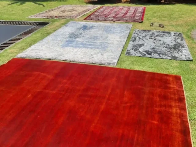 Rugs professionally cleaned in Cape Town (6)