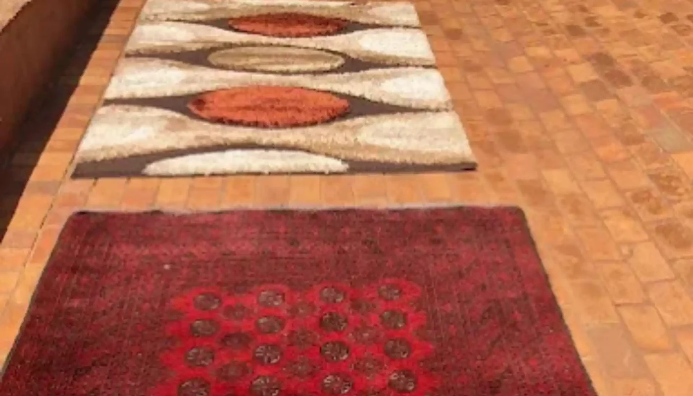 Rugs drying after professional cleaning in Cape Town