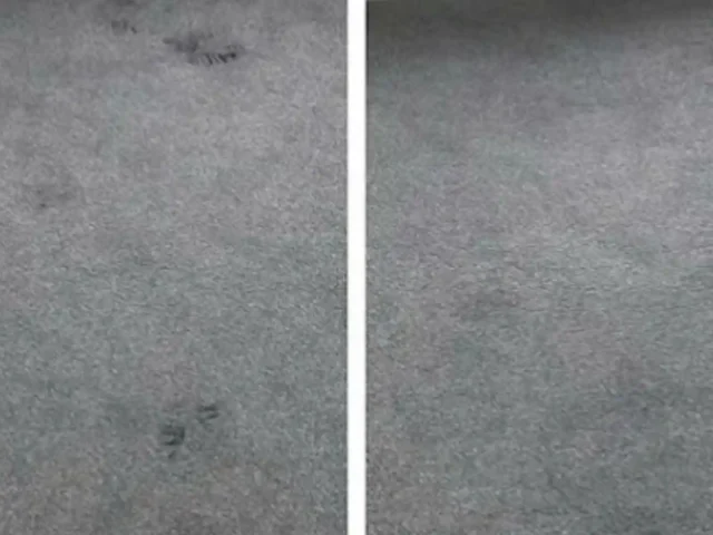 Carpet stain before and after professional removal