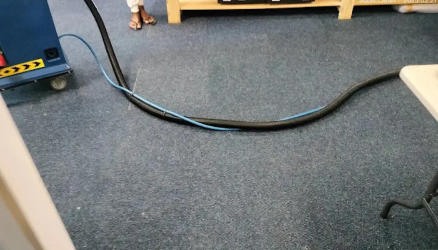 Warm-water extraction cleaning on a fitted carpet (12)