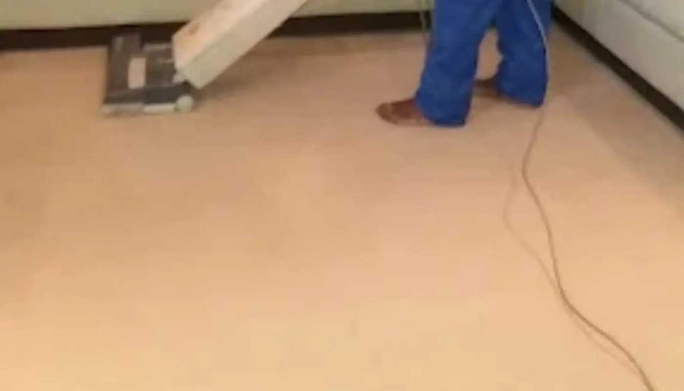 Fitted carpet professionally cleaned in a Cape Town hallway (2)