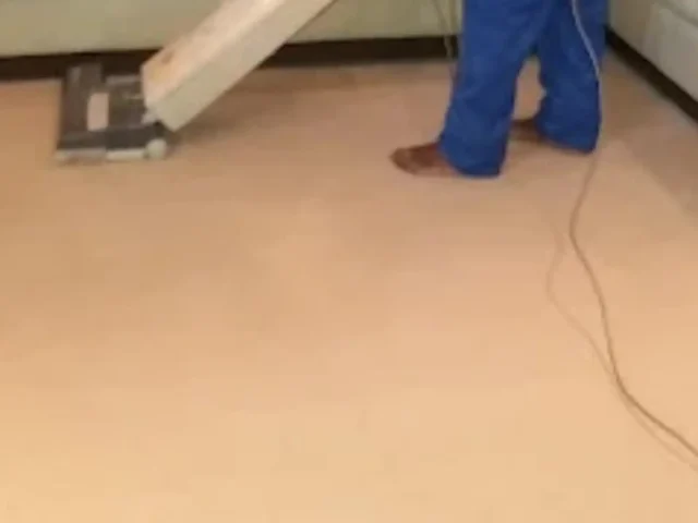 Fitted carpet professionally cleaned in a Cape Town hallway (2)