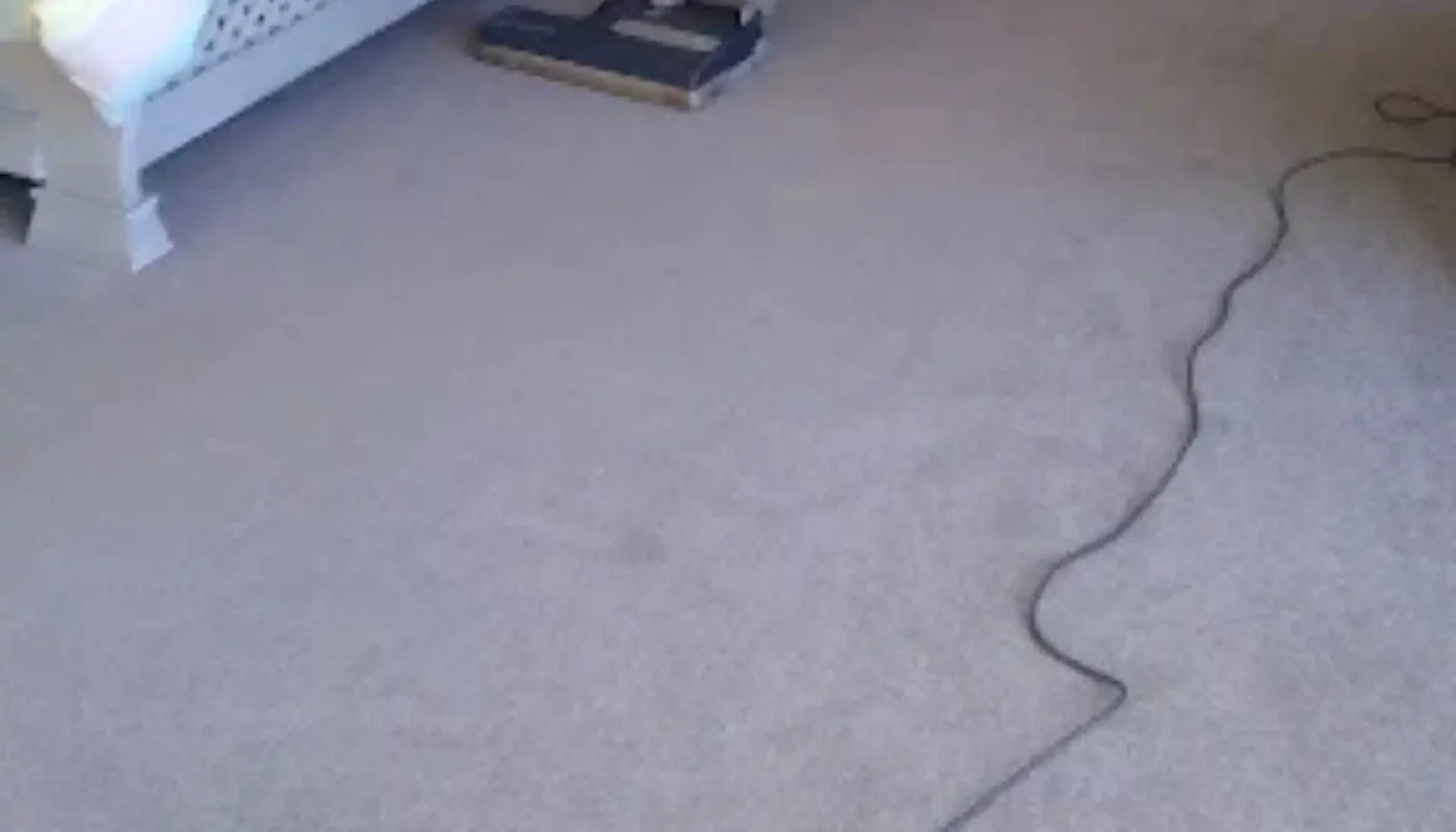 Fitted carpet professionally cleaned in a Cape Town home (3)