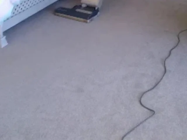 Fitted carpet professionally cleaned in a Cape Town home (3)