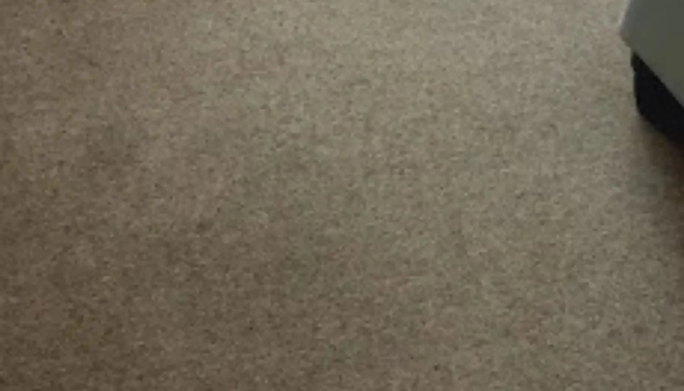 Fitted carpet and rug cleaning services across Cape Town