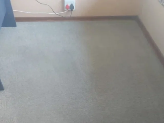Professional fitted carpet cleaning in progress (6)