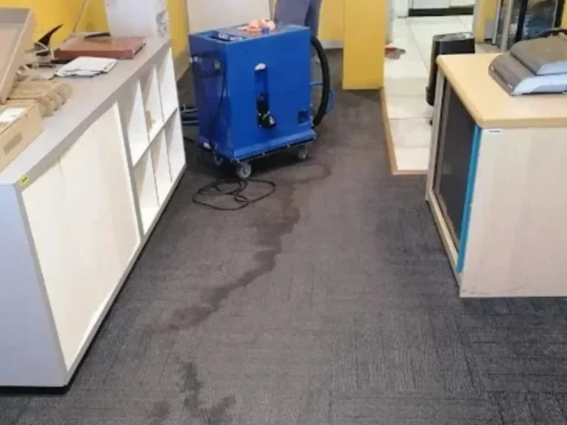 Fitted carpet professionally cleaned in a Cape Town lounge (8)