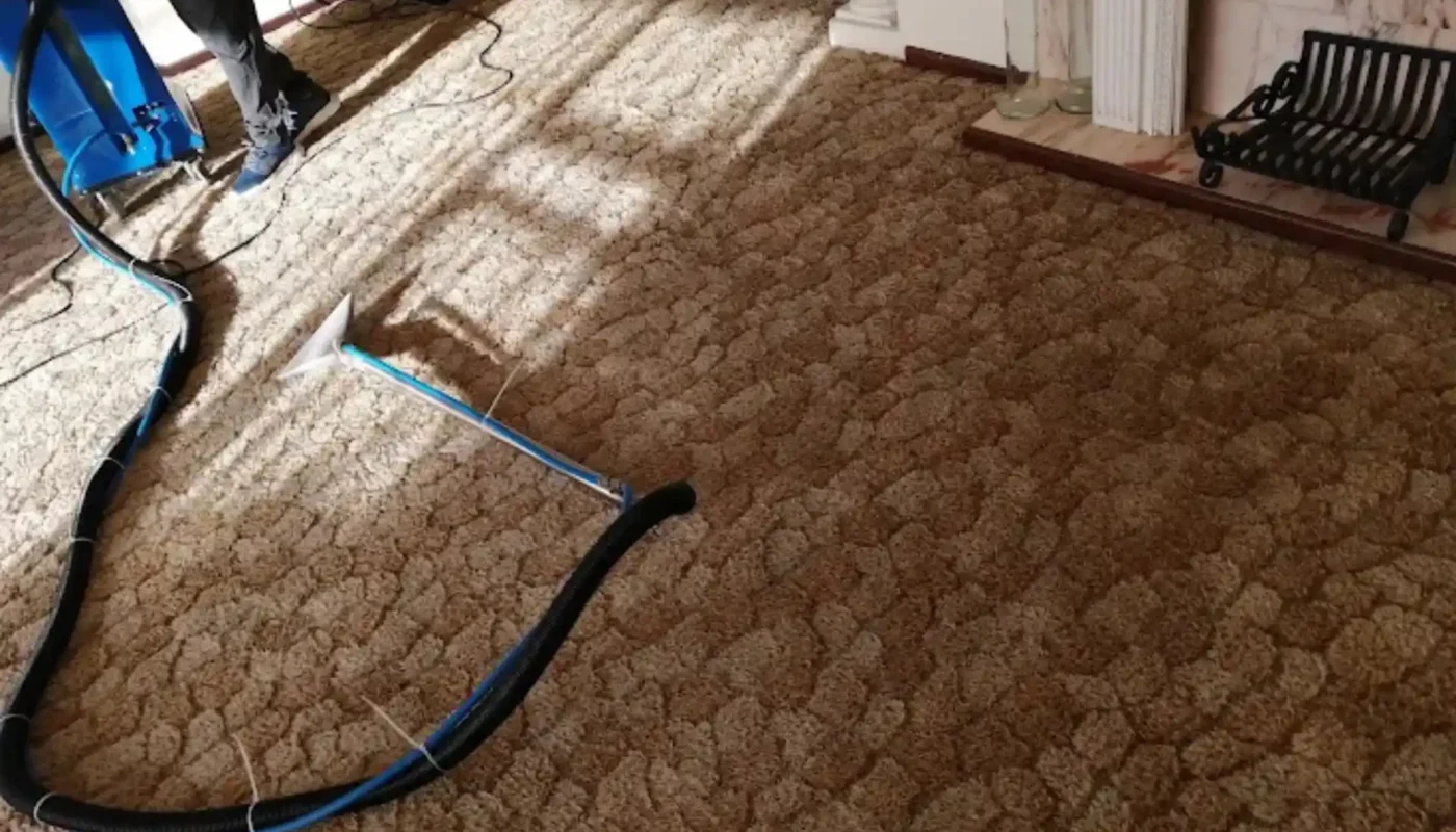 Fitted carpet cleaning in South Peninsula