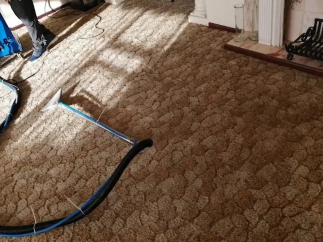 Fitted carpet cleaning in South Peninsula