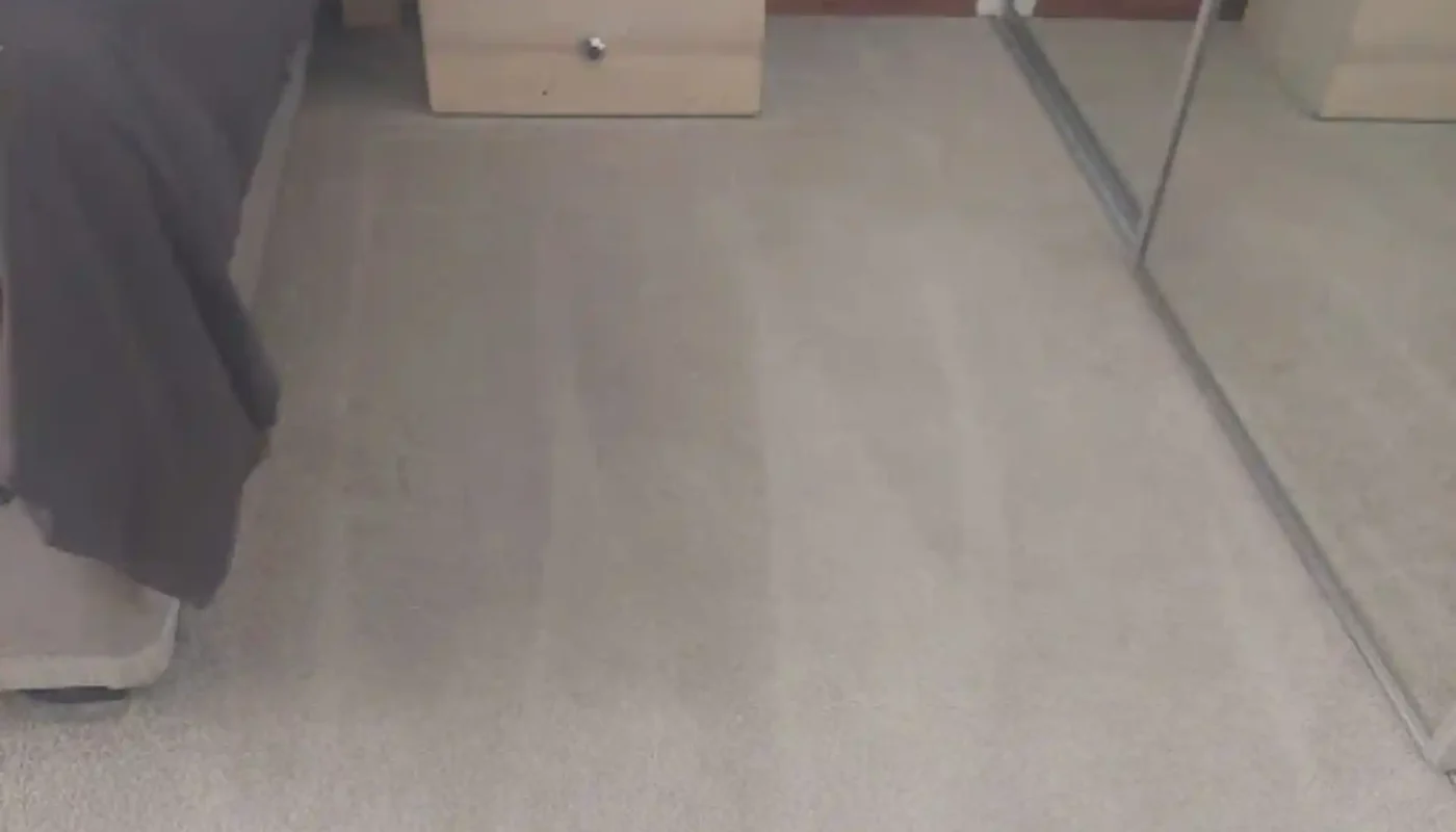 Fitted carpet cleaning in West Coast