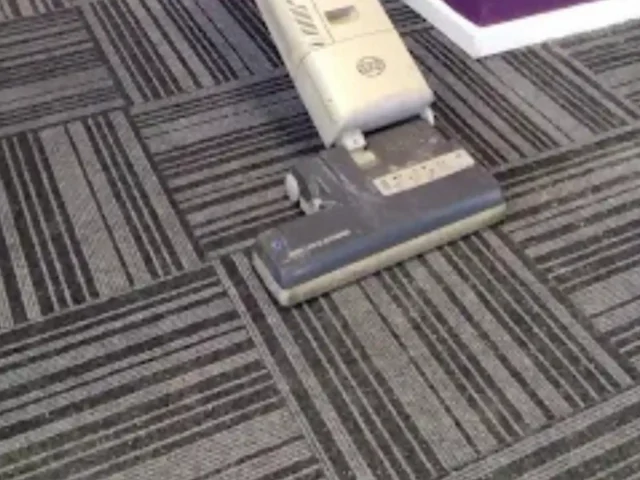 Professional fitted carpet cleaning in Cape Town