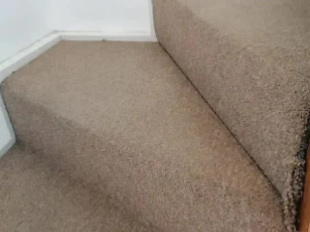 Carpeted stairs professionally cleaned in a Cape Town home